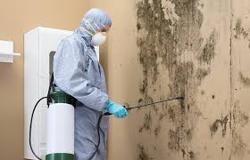 Best Mold Odor Removal Services  in Kentwood, LA